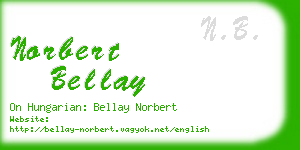 norbert bellay business card